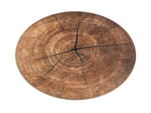 Set of 4 Circular Bark Design Placemats